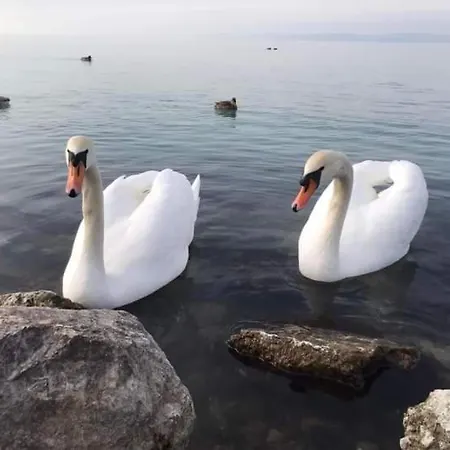 アパート Bodzavirag Balatonvilágos