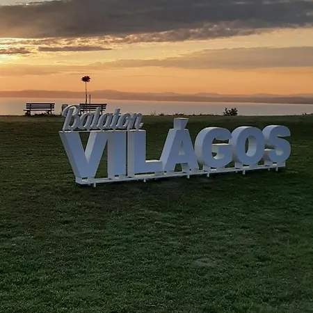 Bodzavirag * Balatonvilágos