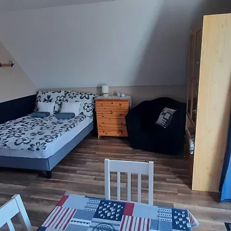 Bodzavirag Balatonvilágos