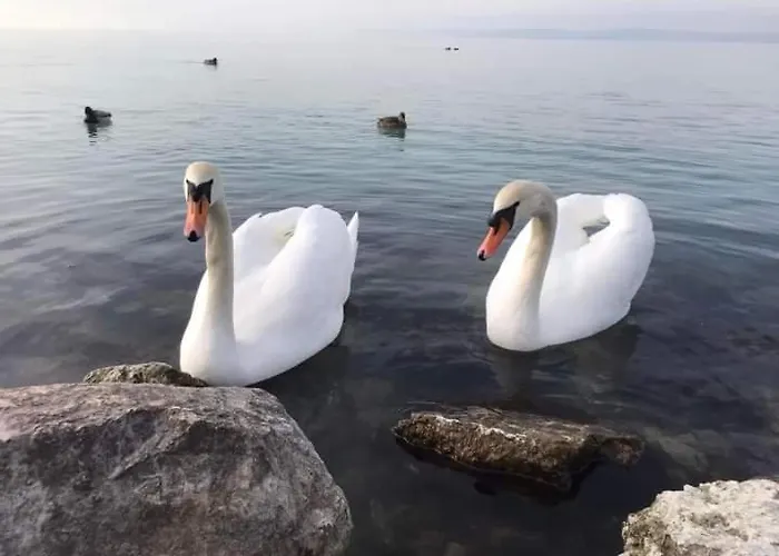 דירה Bodzavirag Balatonvilágos