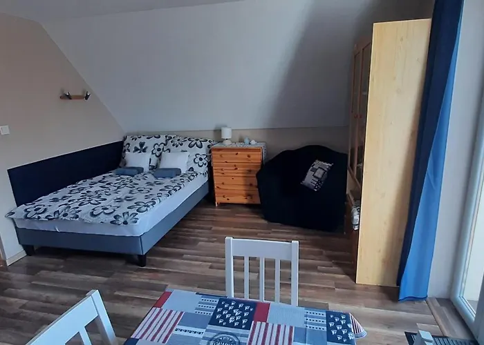 Bodzavirág Balatonvilágos