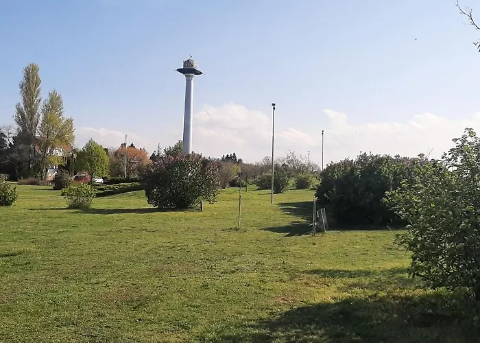 Bodzavirág * Balatonvilágos