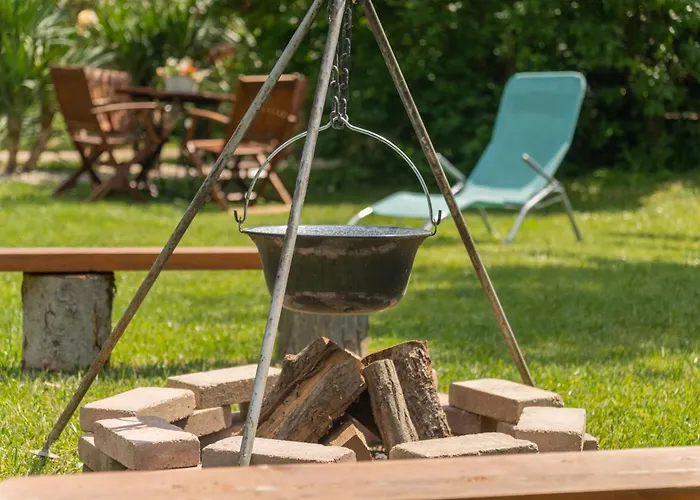 Bodzavirag Balatonvilágos